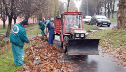 A Landorhegyi ton is folyamatosan gyjtik a faleveleket.
