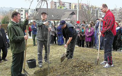 A vrosrsz kpviseli – a polgrmester rszvtelvel – faltets kzben.