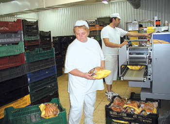 Kzel 270-fle termket lltanak el.