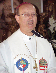 Dr. Mrfi Gyula