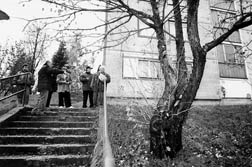 Bejrs a Landorhegyen