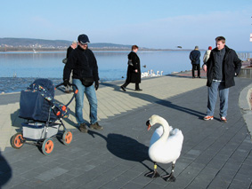 „Partrasz�ll�s” Keszthelyen.