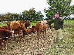 Nagy L�szl� bemutatja a gazdas�got.